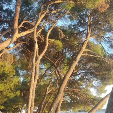 Mobil Bela Camping *