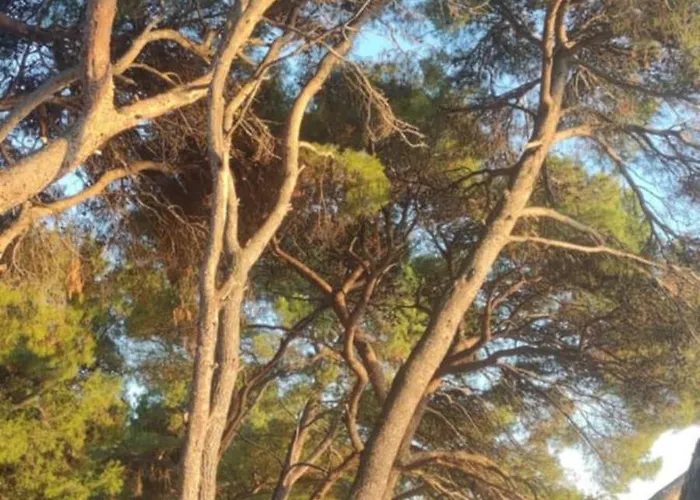 Mobil Bela Camping *